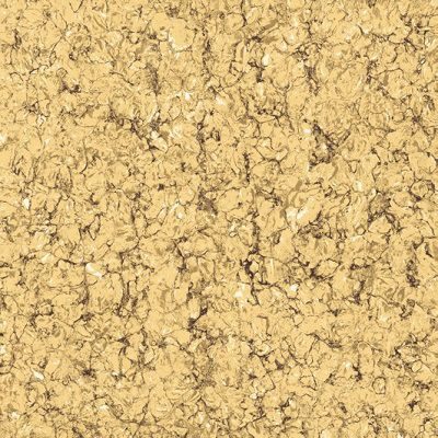 Gạch lát nền Viglacera 60x60cm TS2-606