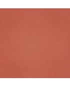mẫu gạch đỏ lát sân giá rẻ L200DD