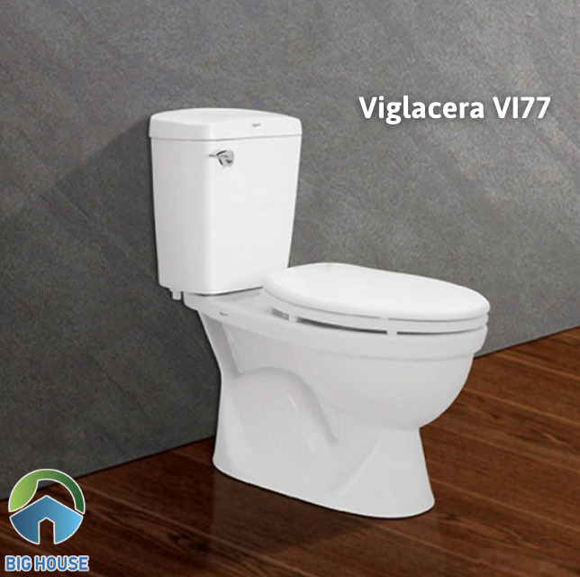 Xí bệt Viglacera VI77
