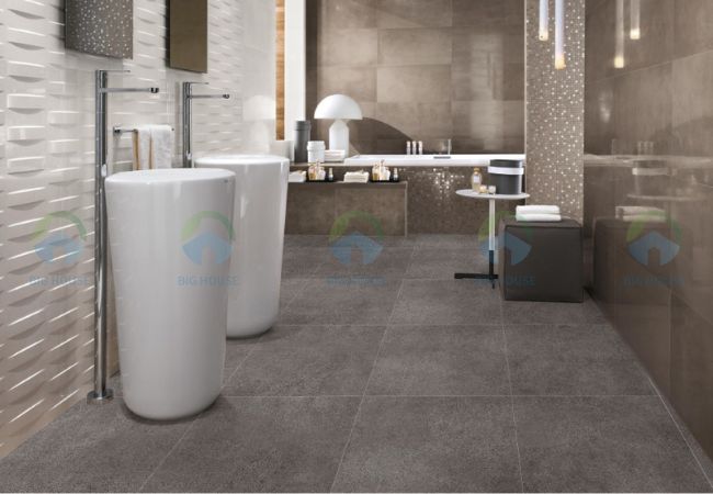 gạch lát nền nhà vệ sinh 60x60 Apodio 66433007