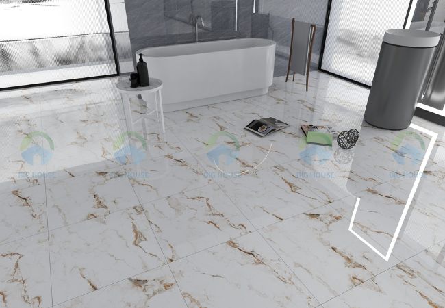 gạch lát nền nhà vệ sinh 60x60 Apodio A66DT8053