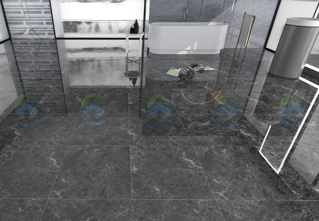 gạch lát nền nhà vệ sinh 60x60 Apodio A66EB8058