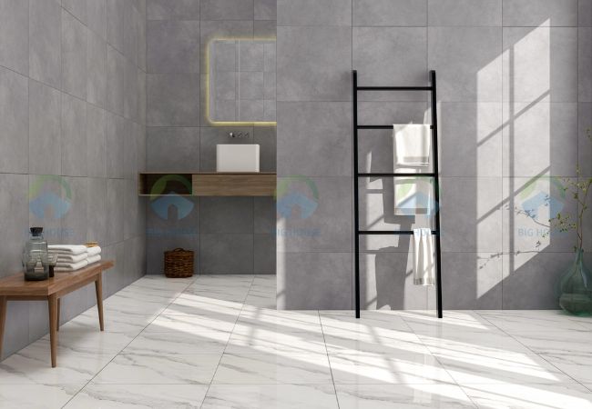 gạch lát nền nhà vệ sinh 60x60 Apodio A66MW8056
