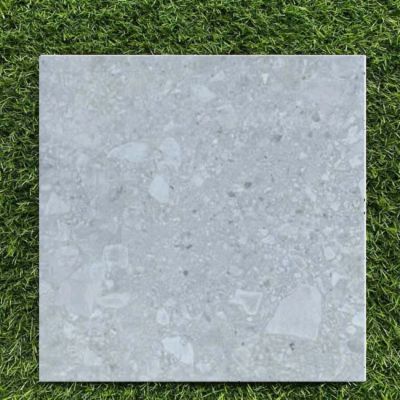 gạch lát nhà vệ sinh 60x60 Light Grey